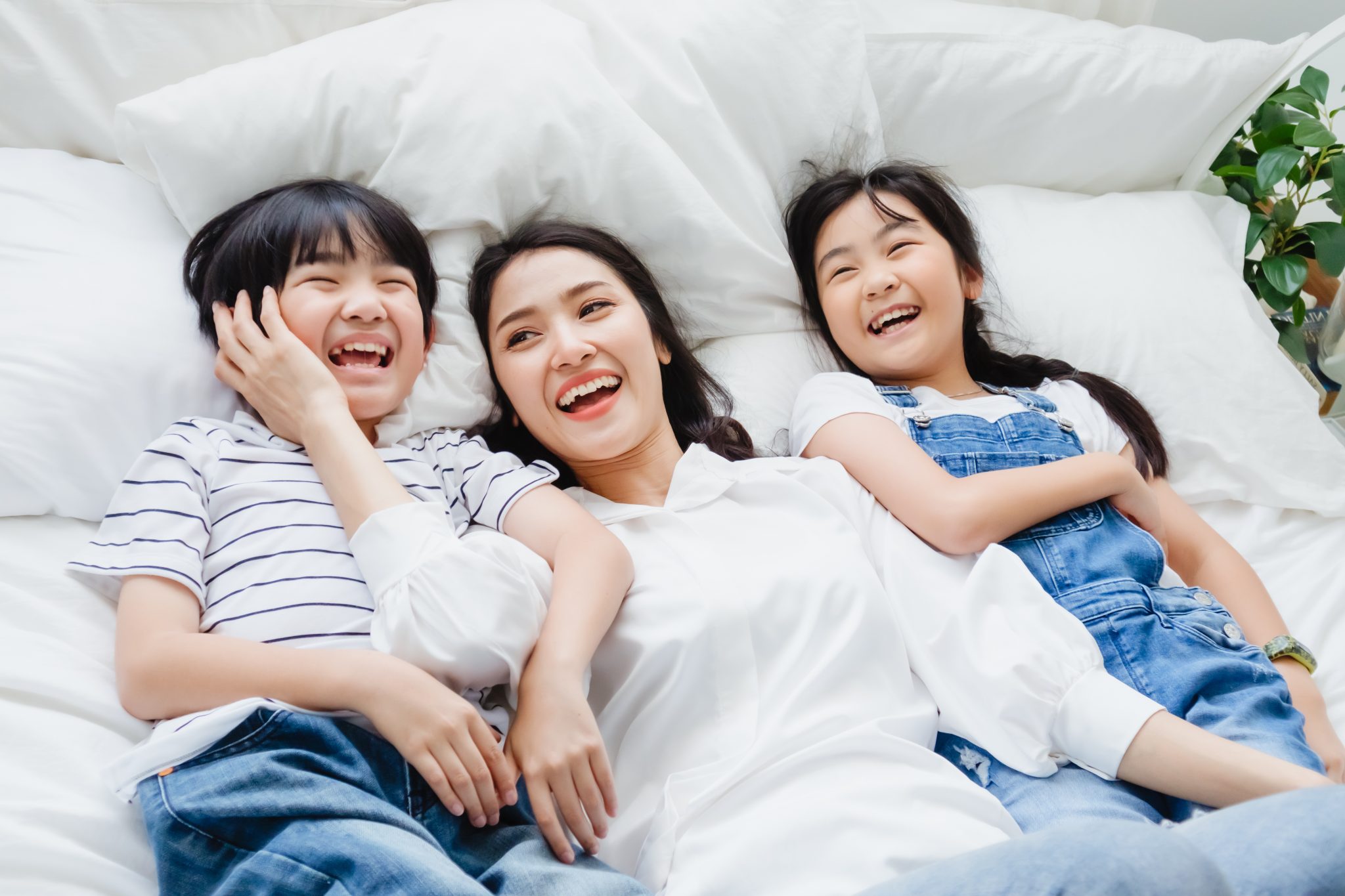 AdobeStock 341885329 2048x1365